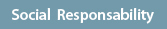 SOCIAL RESPONSABILITY